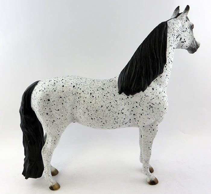 appaloosa