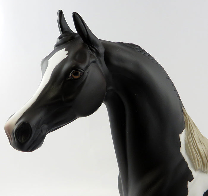 SATORIOUS~OOAK BLACK AND WHITE PAINT ARABIAN MODEL HORSE 11/4/16
