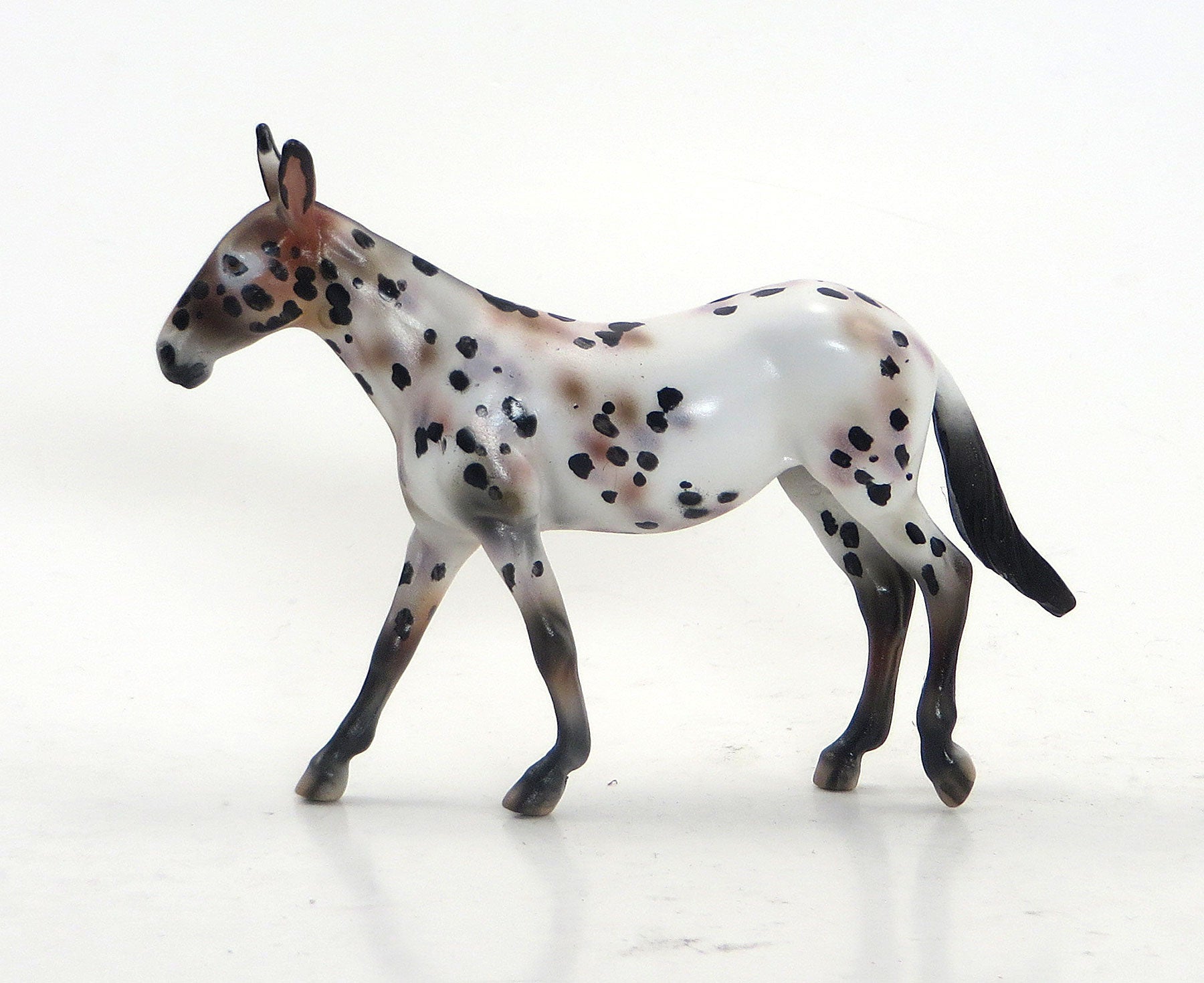 AUNTIE MATTER - OOAK Chestnut Appaloosa Mule Chip 8/21