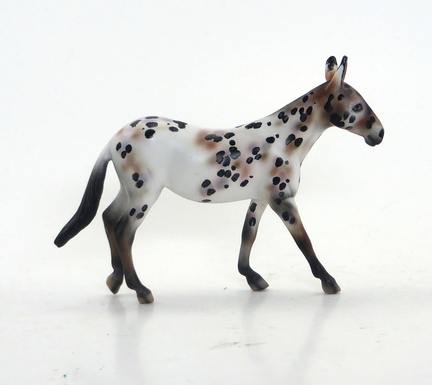 AUNTIE MATTER - OOAK Chestnut Appaloosa Mule Chip 8/21