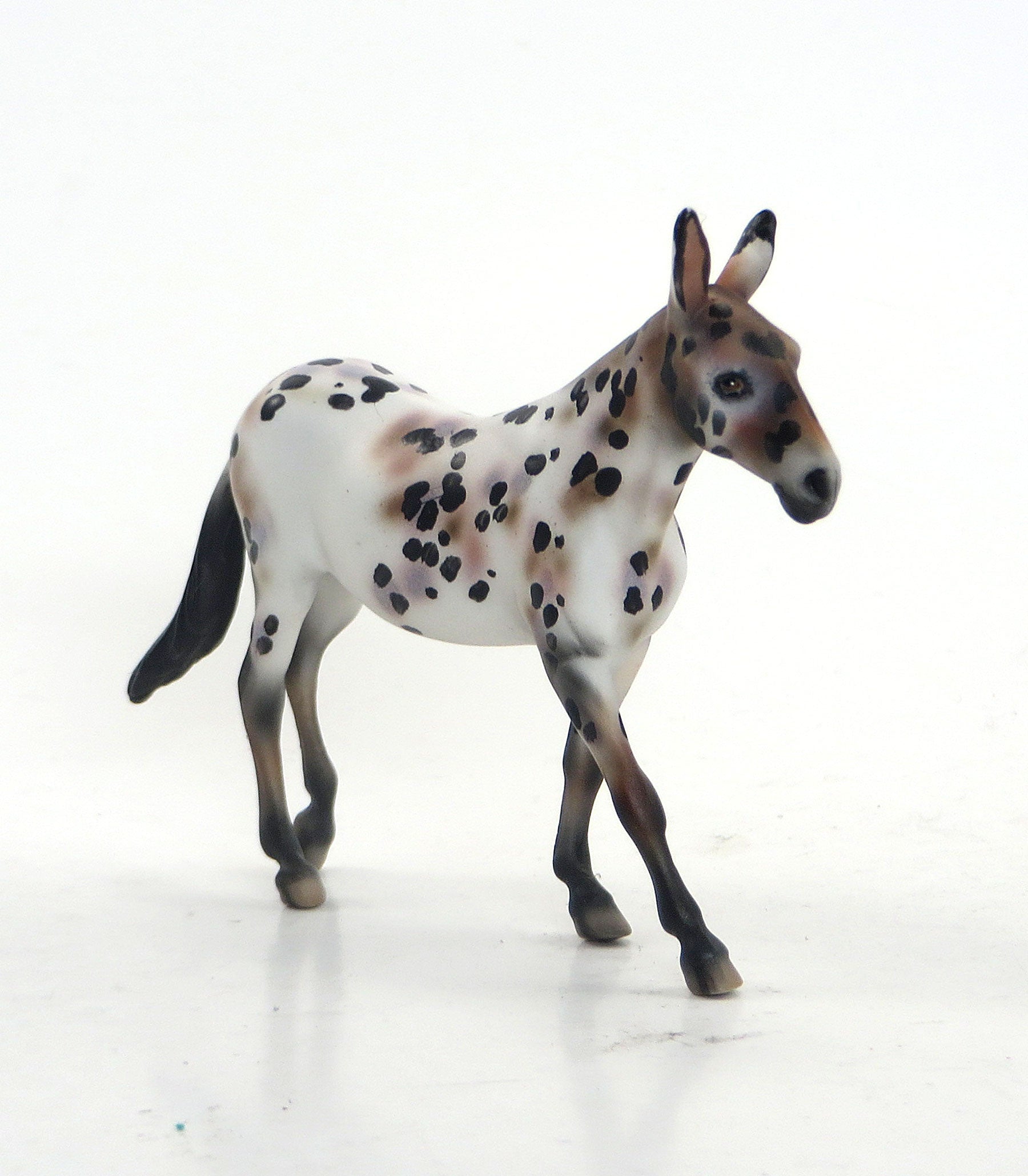 AUNTIE MATTER - OOAK Chestnut Appaloosa Mule Chip 8/21