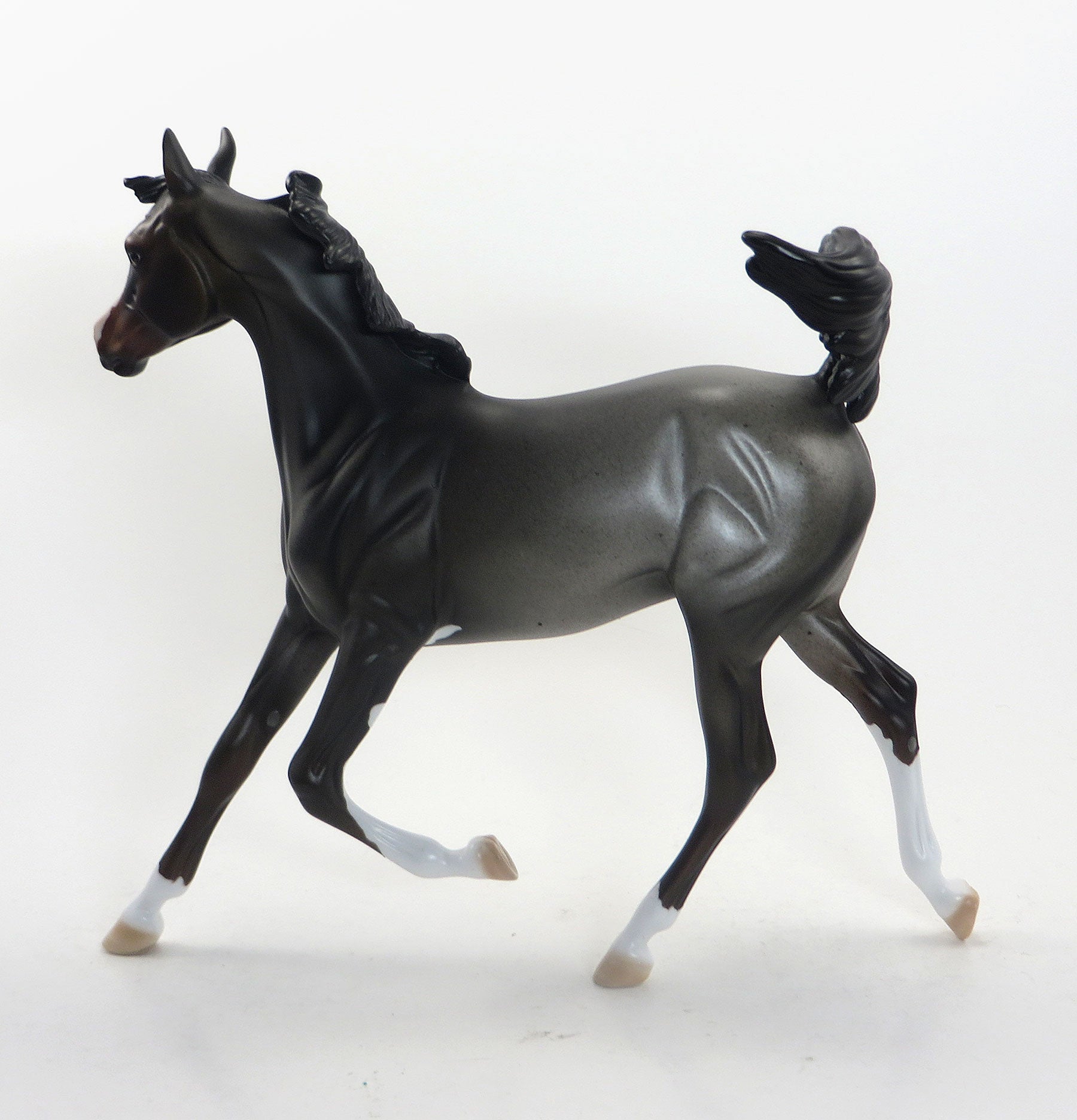 ROBO BETTY- OOAK Bay Roan Yearling 8/14