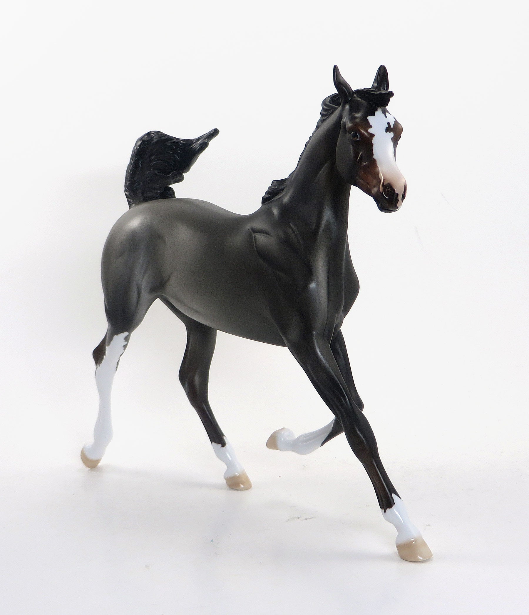 ROBO BETTY- OOAK Bay Roan Yearling 8/14