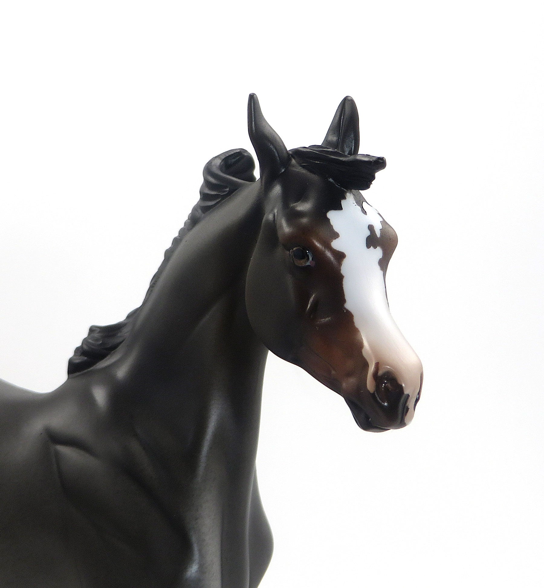 ROBO BETTY- OOAK Bay Roan Yearling 8/14