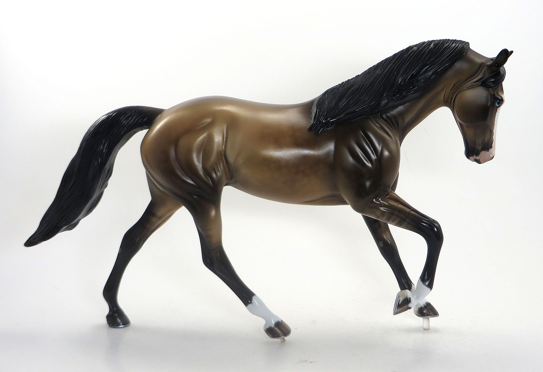 ATOMIC ROGER-LE6 Dappled Dun Tennessee Walker 8/14