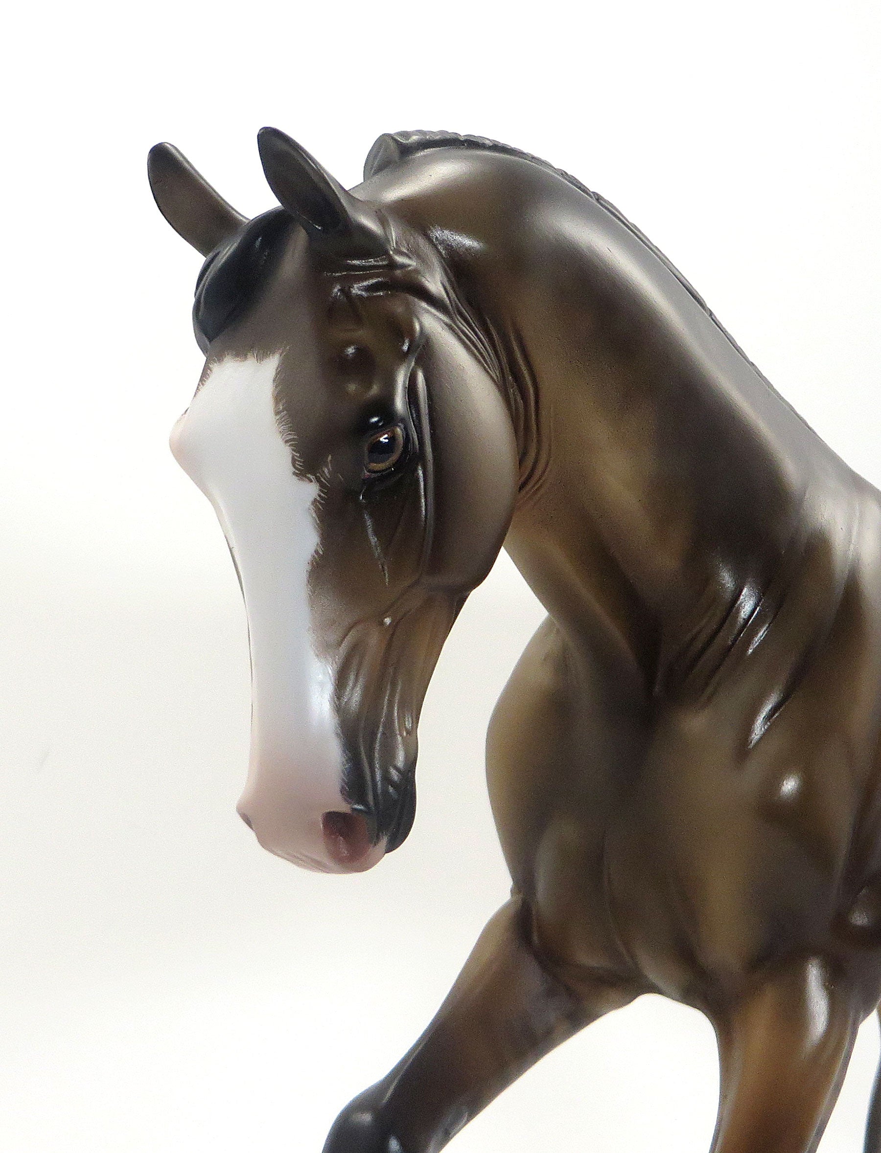 ATOMIC ROGER-LE6 Dappled Dun Tennessee Walker 8/14