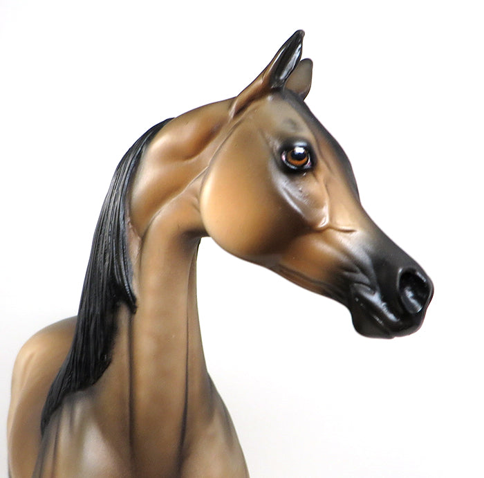 OUT TILL MIDNIGHT-OOAK SOOTY BUCKSKIN  ARABIAN MODEL HORSE 5/18