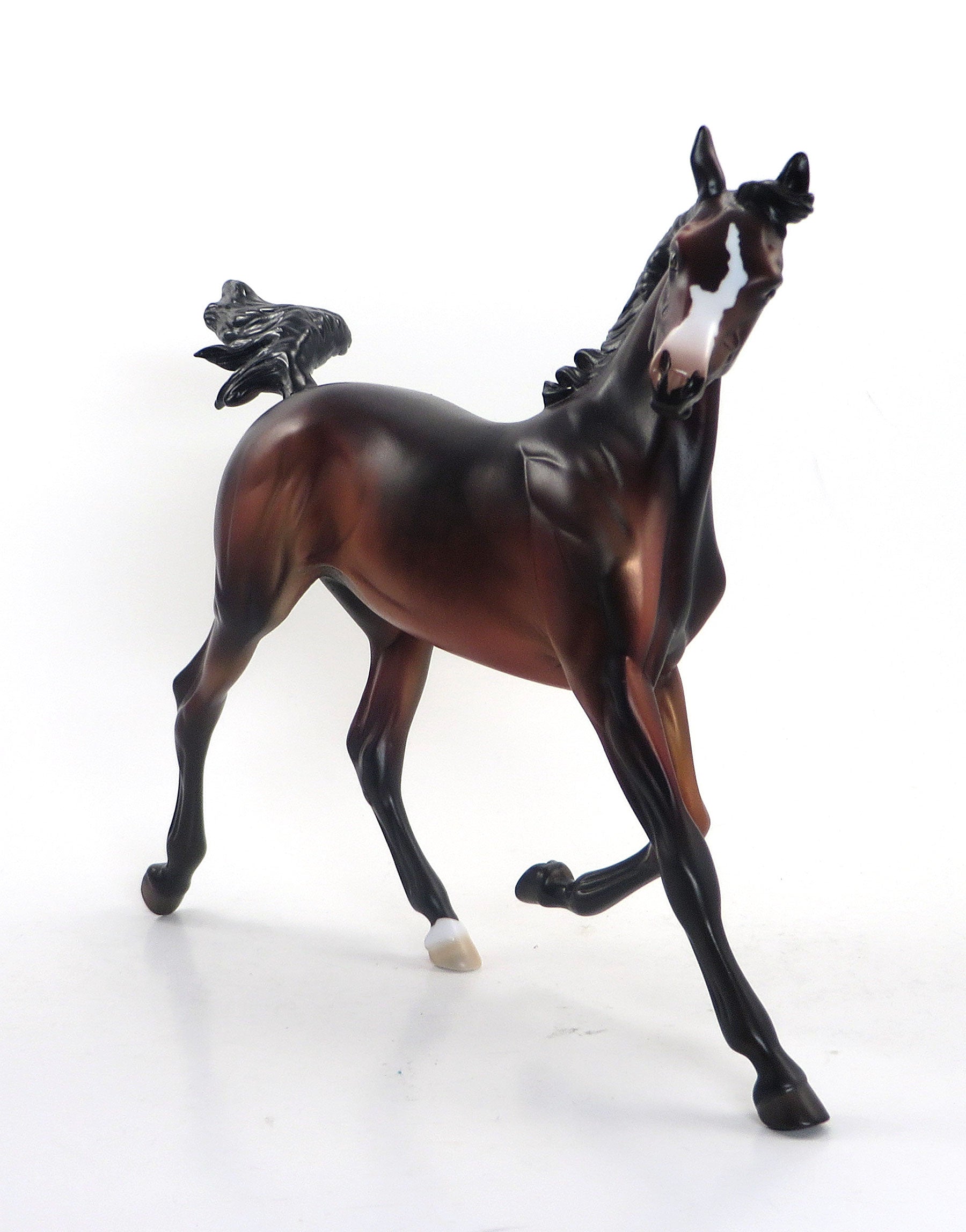 KAREENA - OOAK Dapple Bay Yearling 8/14