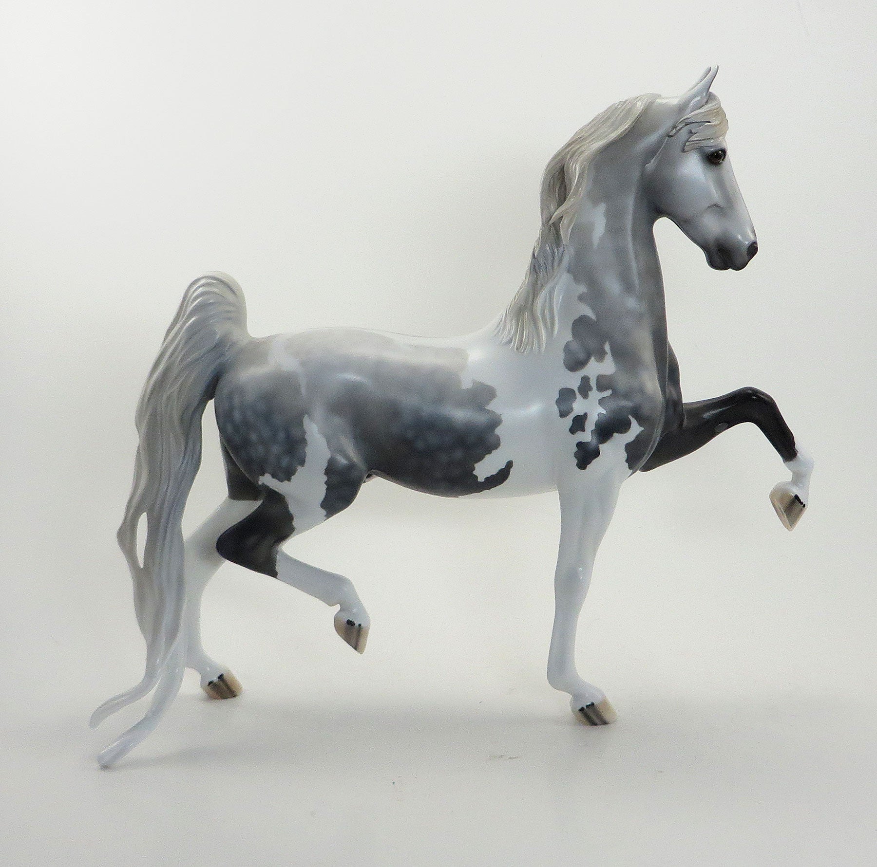 DR. CEREBRAL- OOAK Dapple Grey Pinto Saddlebred 8/14