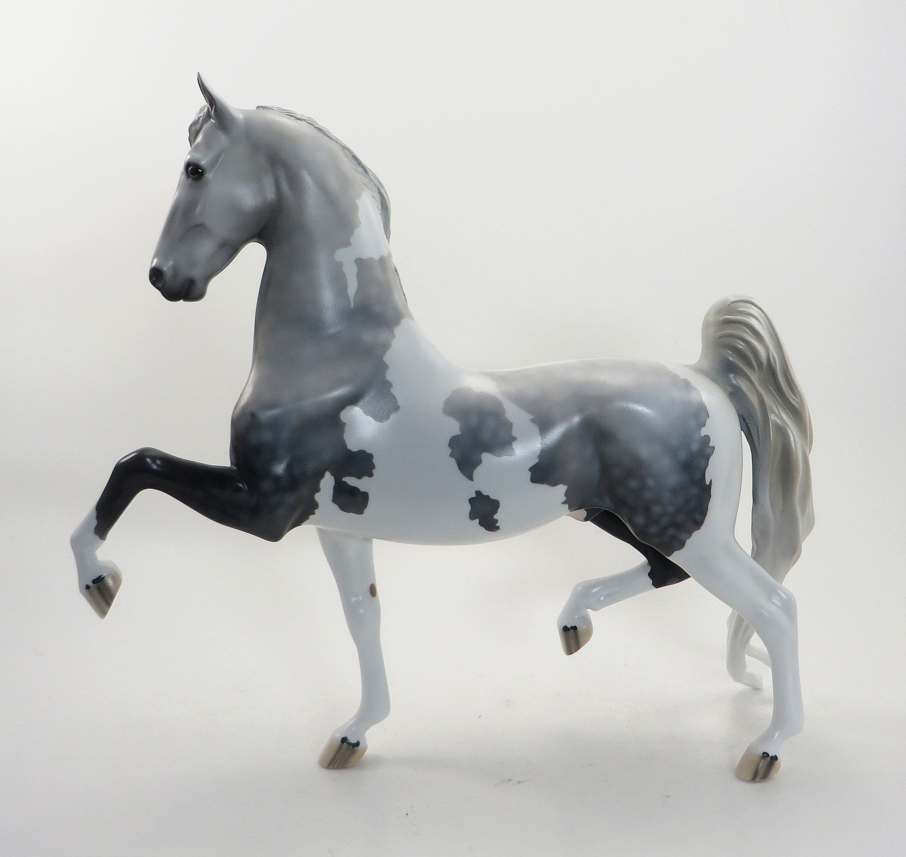 DR. CEREBRAL- OOAK Dapple Grey Pinto Saddlebred 8/14