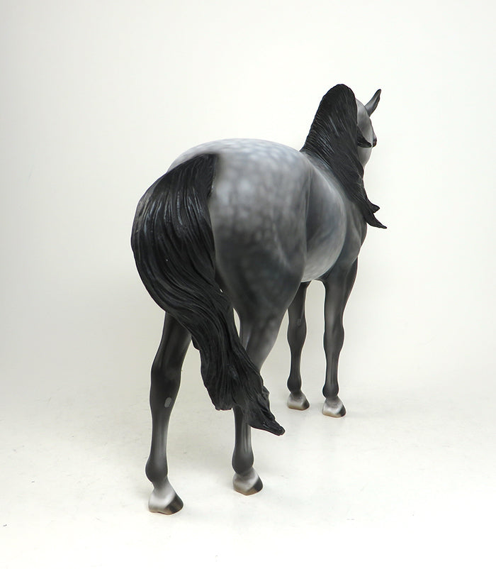 DAPPLE GREY ANDALUSIAN