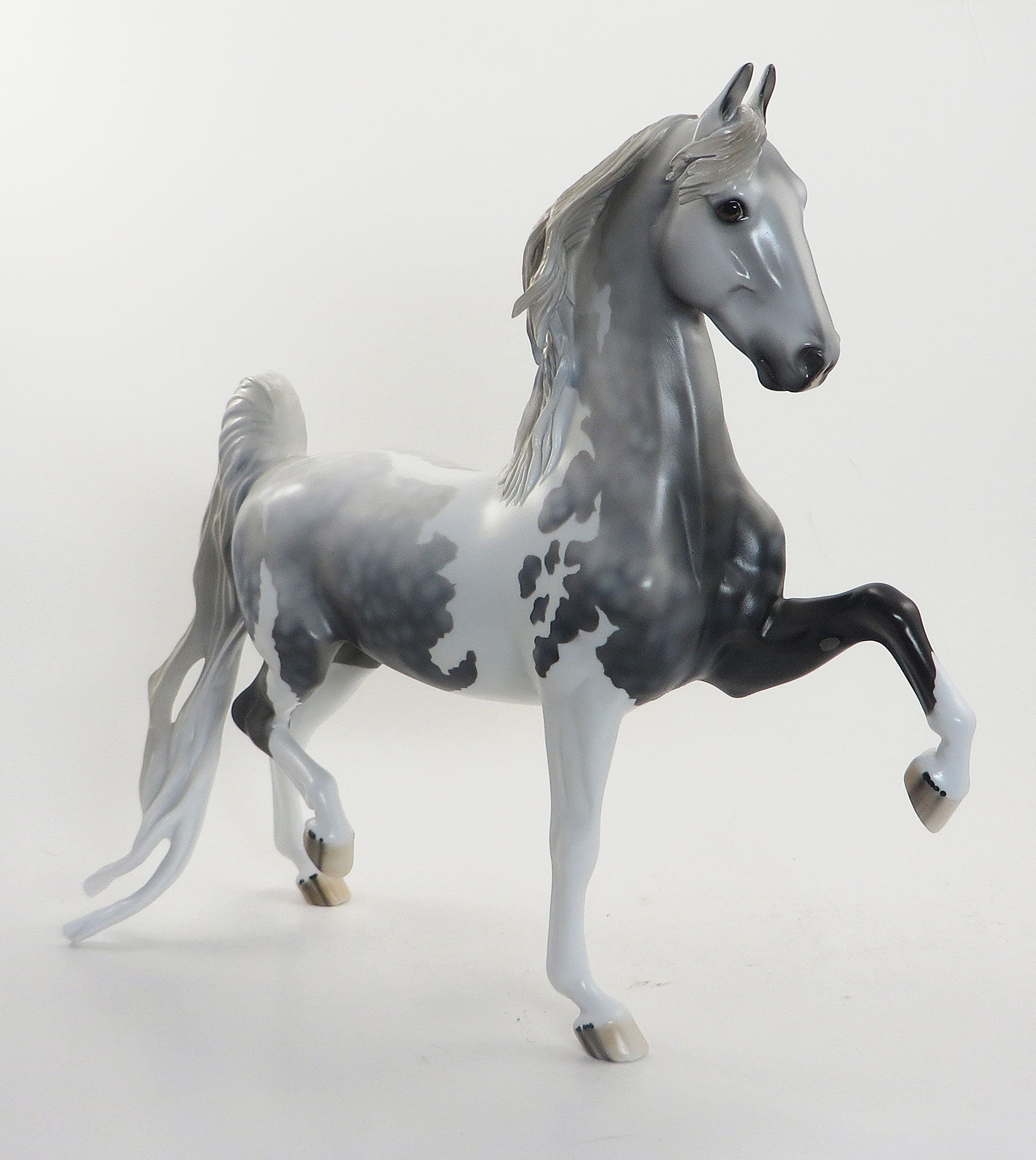 DR. CEREBRAL- OOAK Dapple Grey Pinto Saddlebred 8/14