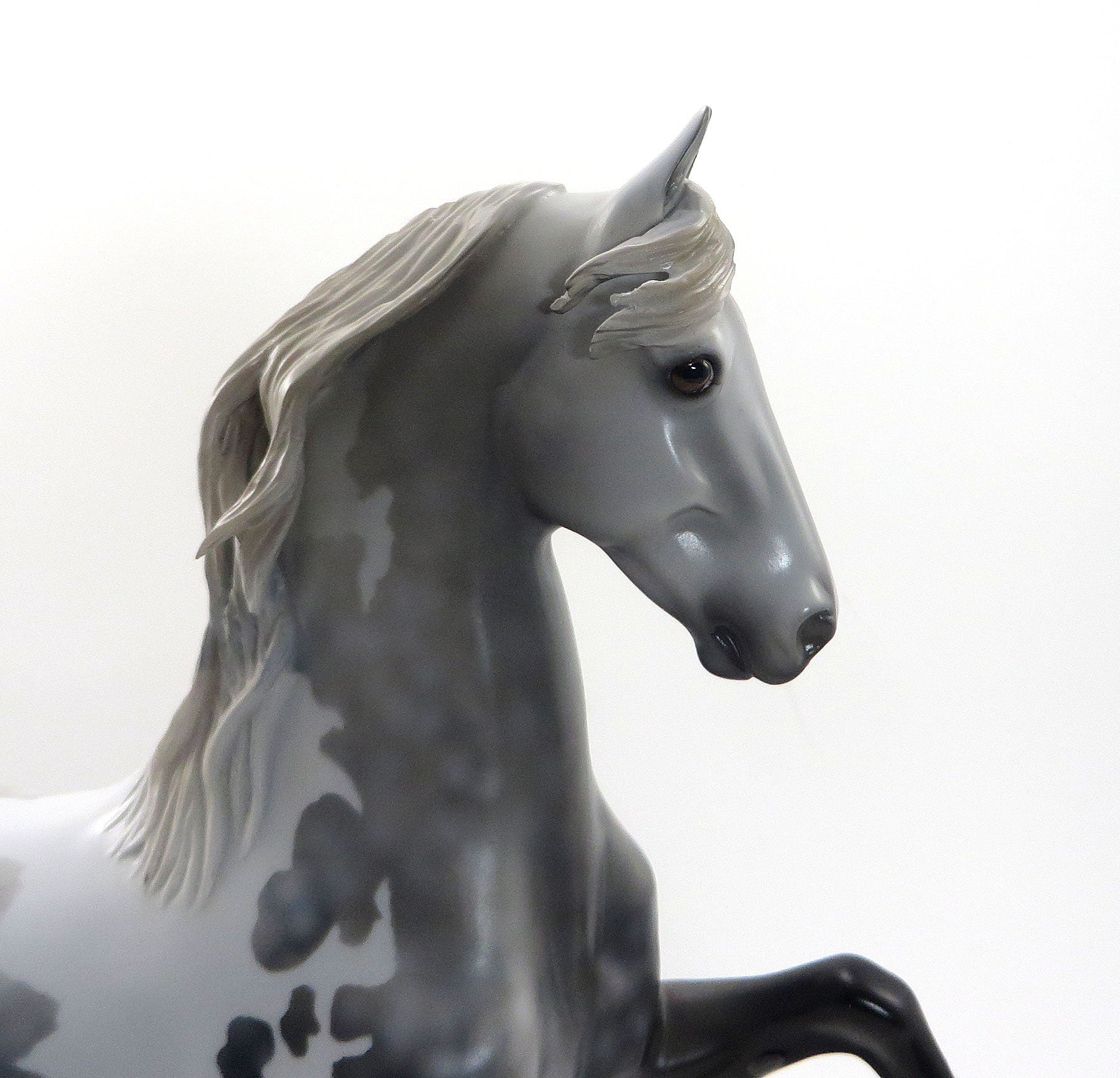 DR. CEREBRAL- OOAK Dapple Grey Pinto Saddlebred 8/14