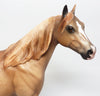 Custom Mane