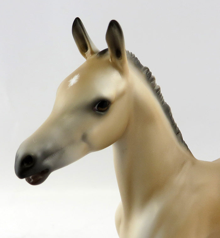 SUZIE Q-OOAK BUCKSKIN FOAL MODEL HORSE BY CARRIE KELLER  11/3/16