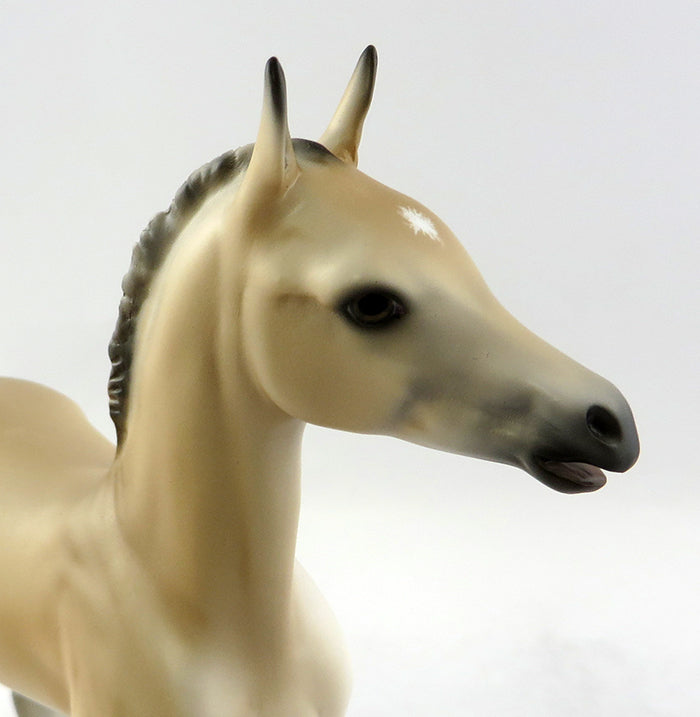 SUZIE Q-OOAK BUCKSKIN FOAL MODEL HORSE BY CARRIE KELLER  11/3/16