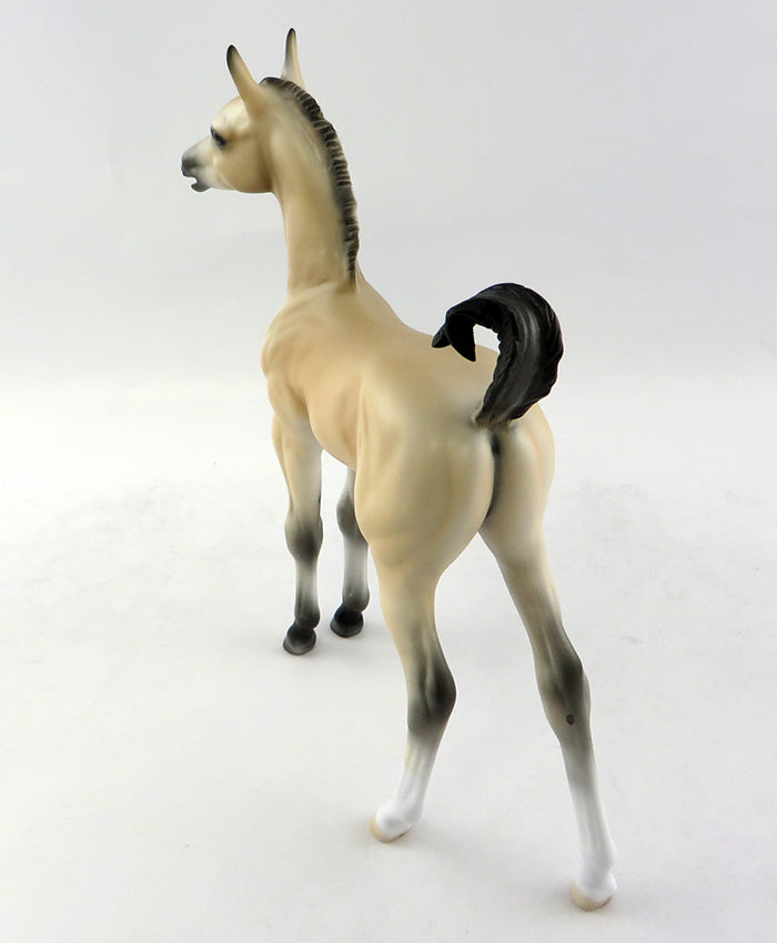 SUZIE Q-OOAK BUCKSKIN FOAL MODEL HORSE BY CARRIE KELLER  11/3/16