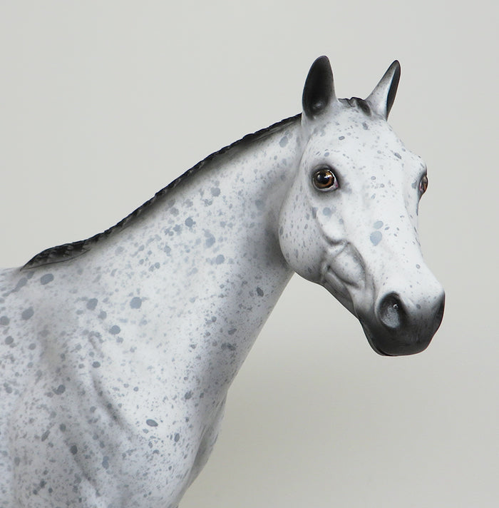 SEEING STARS-OOAK APPALOOSA ISH MODEL HORSE BY AL 5/18