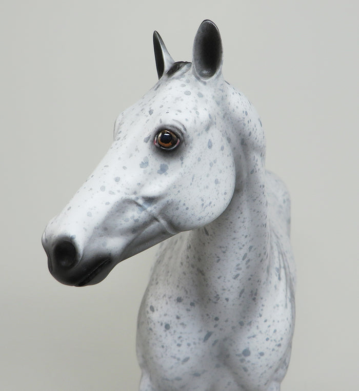 SEEING STARS-OOAK APPALOOSA ISH MODEL HORSE BY AL 5/18