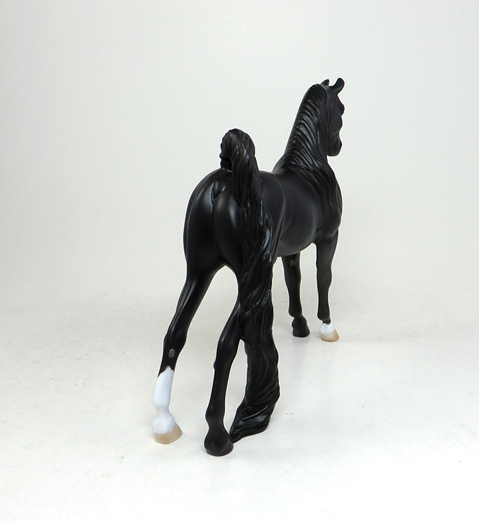 dapple black saddlebred 