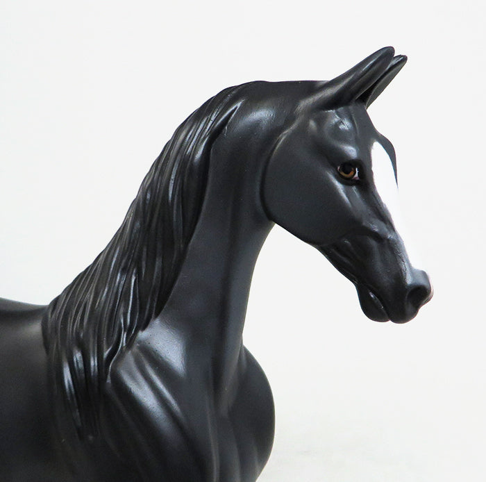 dapple black saddlebred