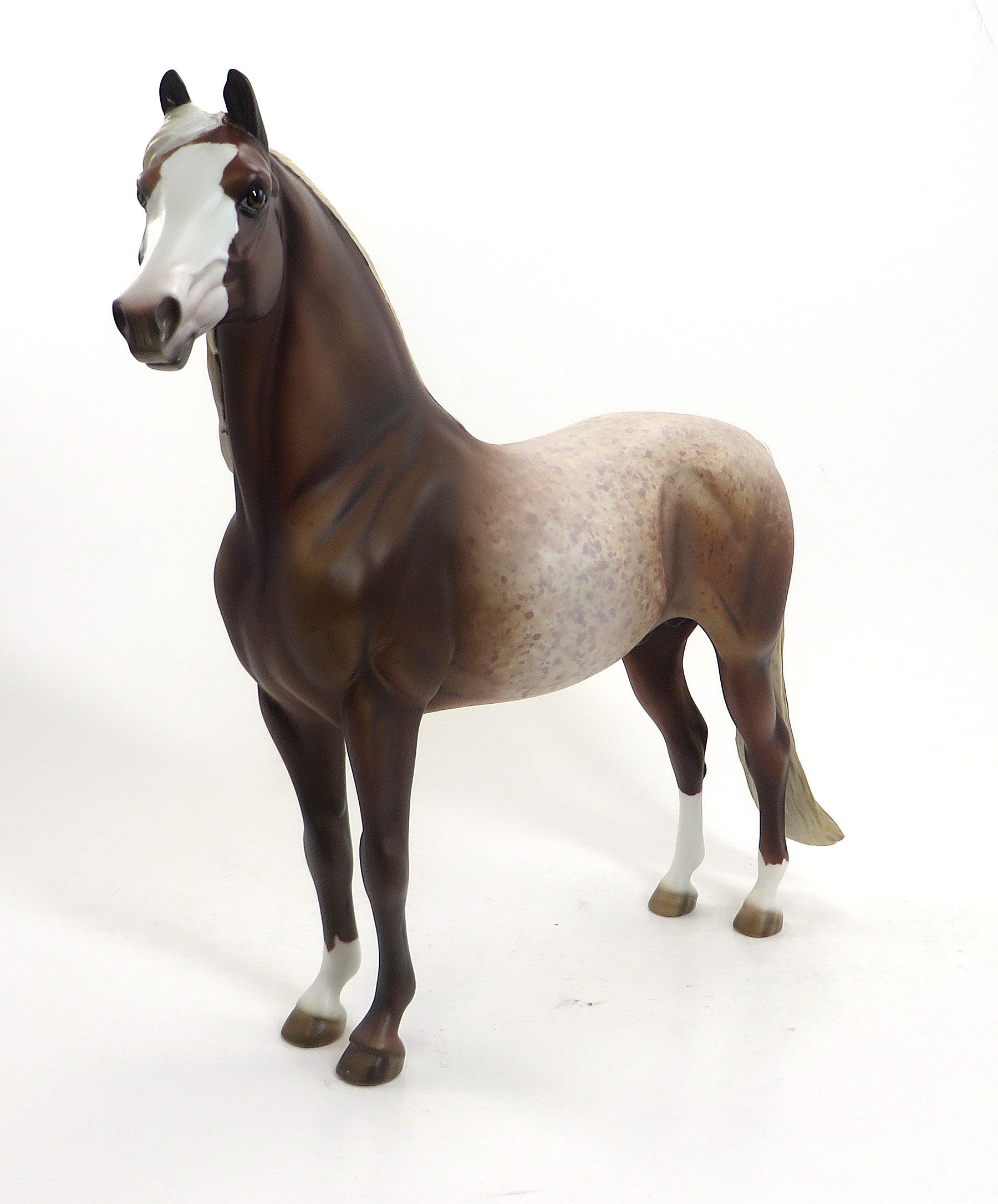 JAKE THE DOG - OOAK Chestnut Roan Morgan 8/14