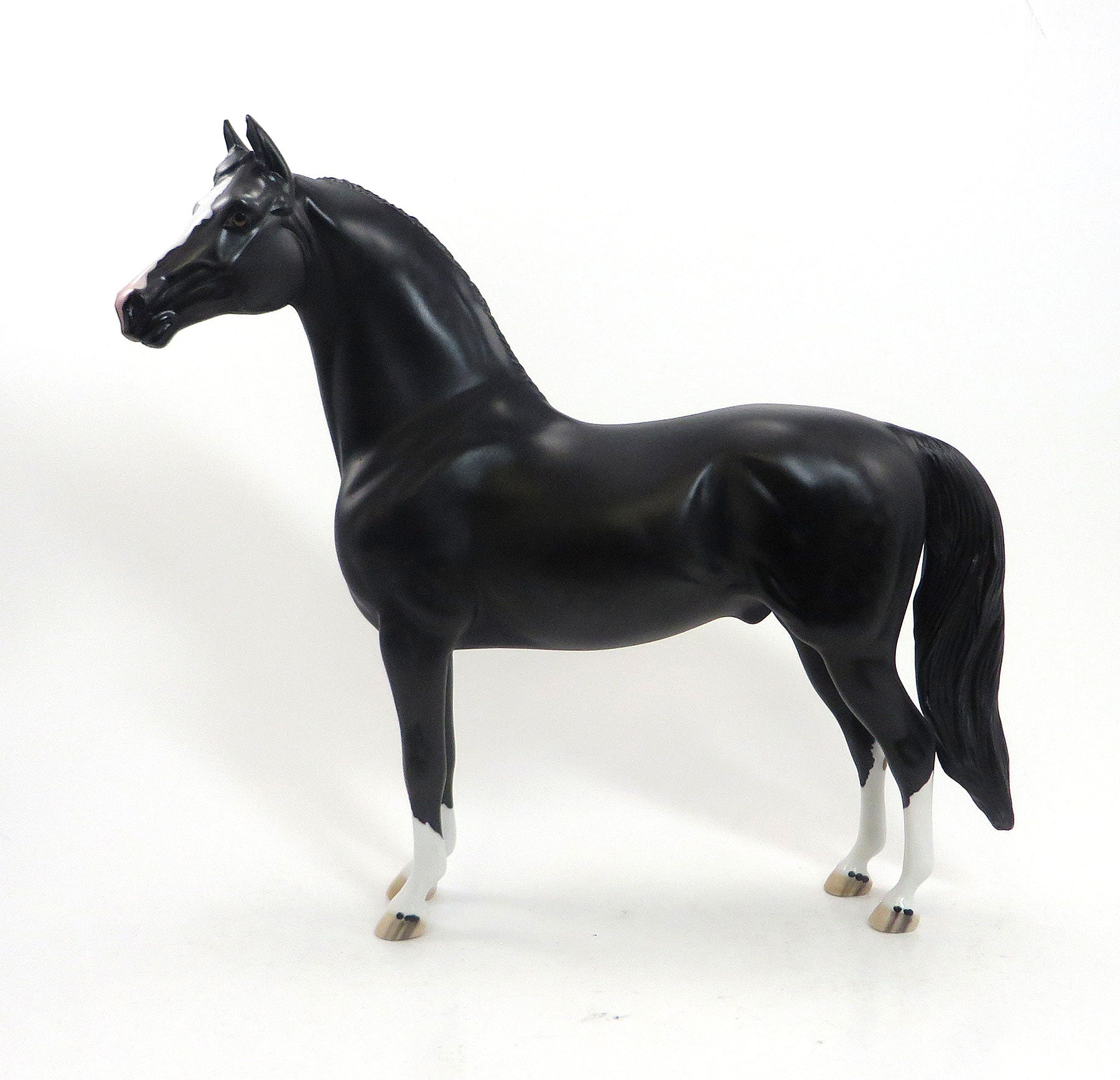 PONTIDORA - OOAK Dappled Black Morgan Model Horse - 8/14