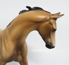 Buckskin