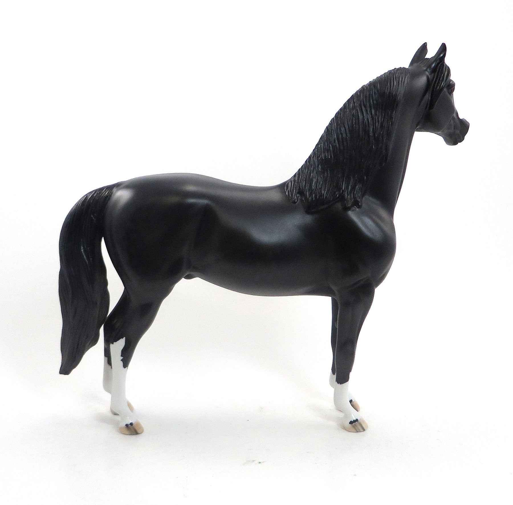 PONTIDORA - OOAK Dappled Black Morgan Model Horse - 8/14