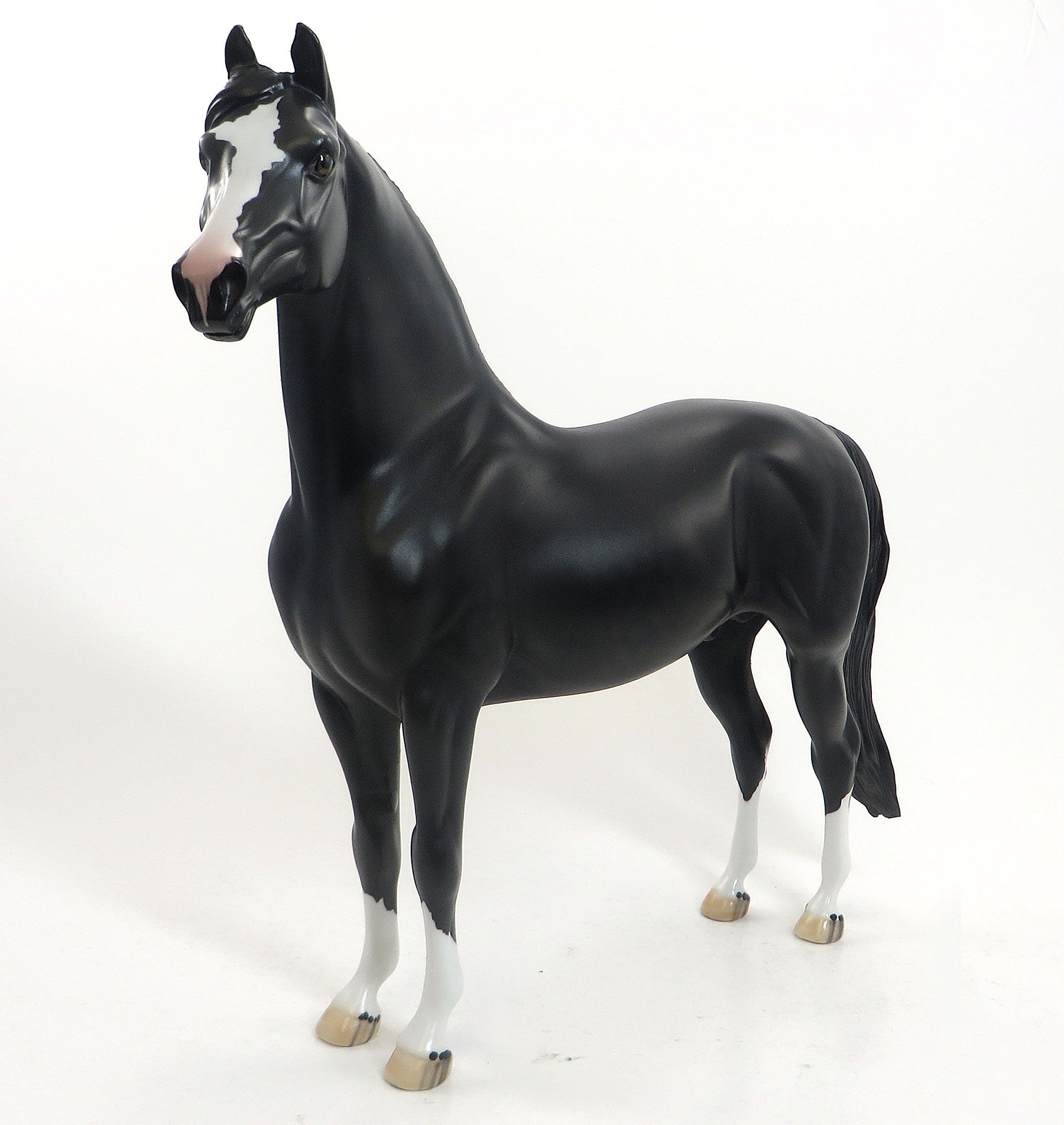 PONTIDORA - OOAK Dappled Black Morgan Model Horse - 8/14