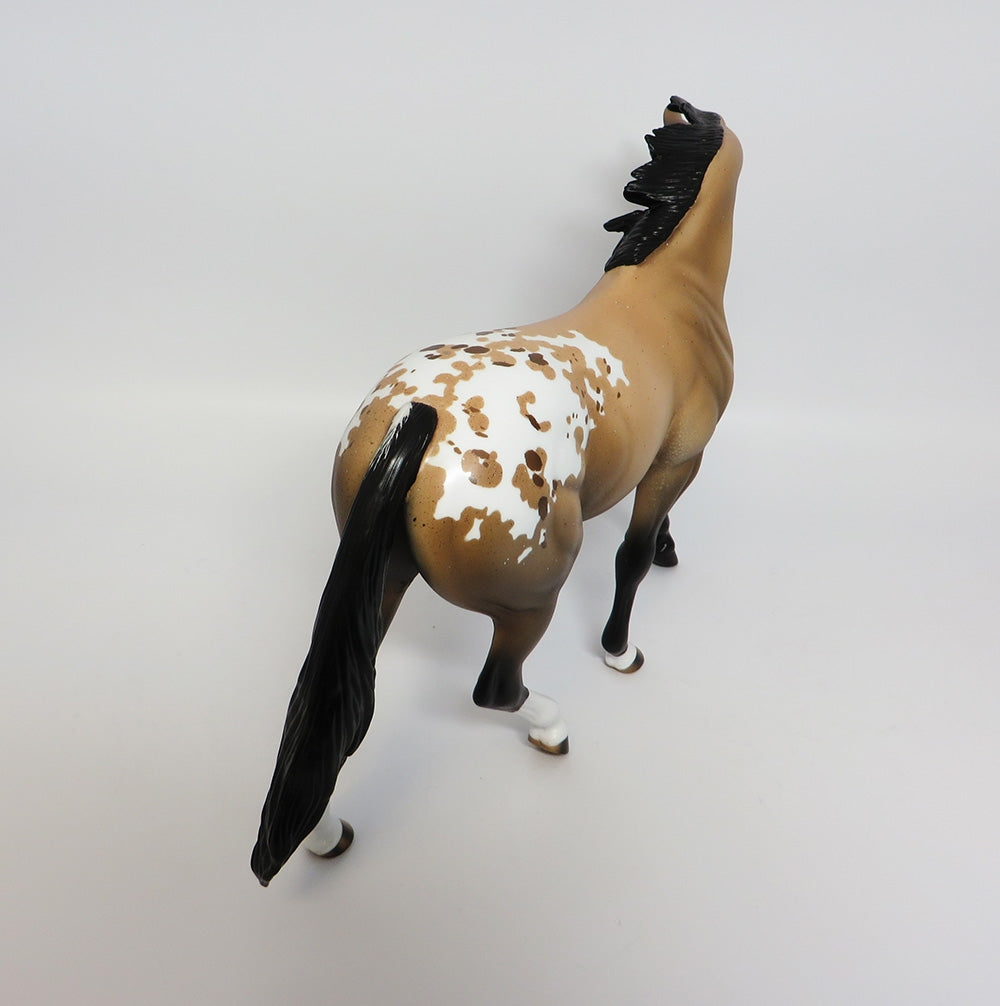 Appaloosa