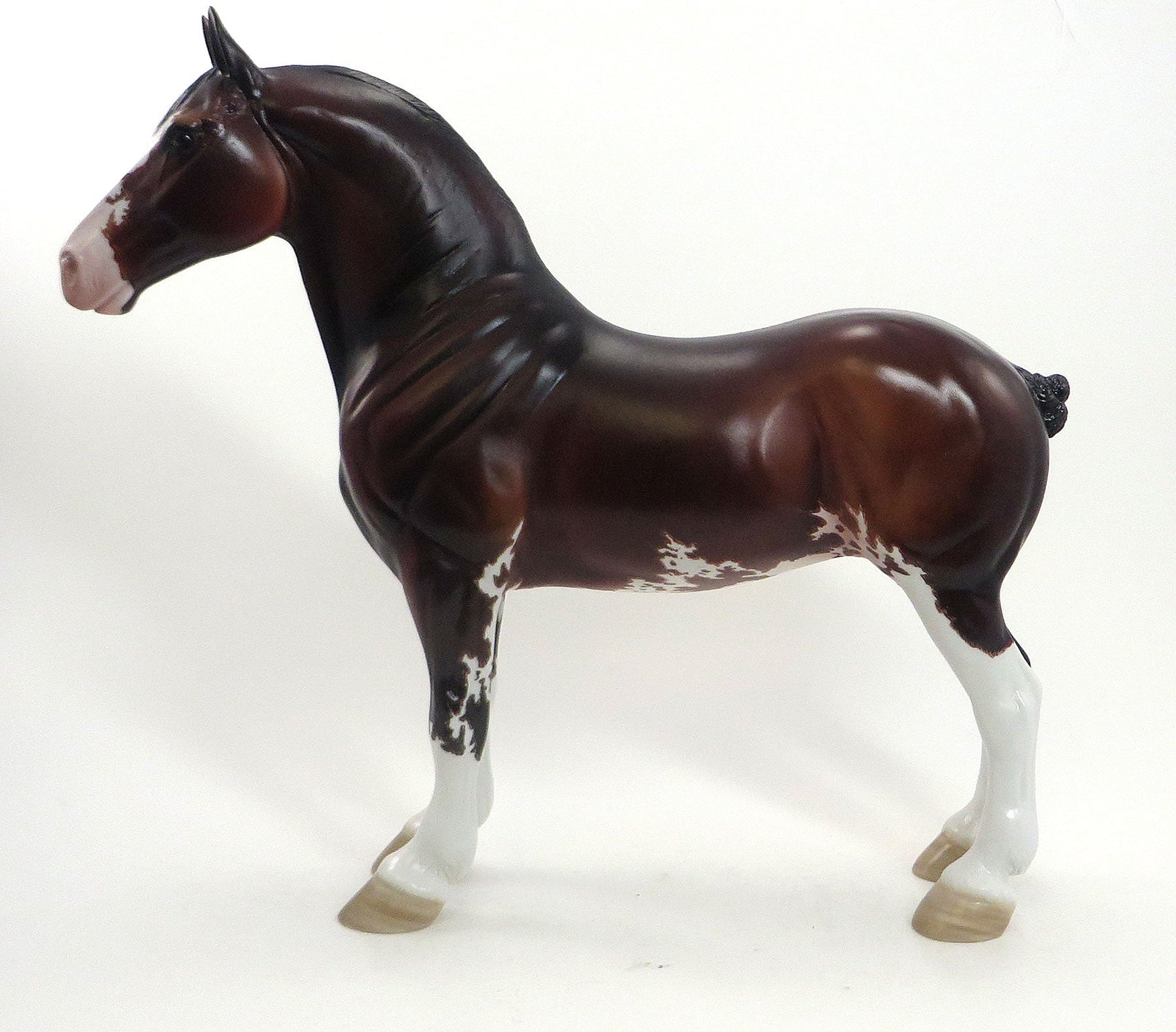 THIRG - OOAK Bay Sabino Standing Drafter W/One Blue Eyes and One Brown Eye 8/14