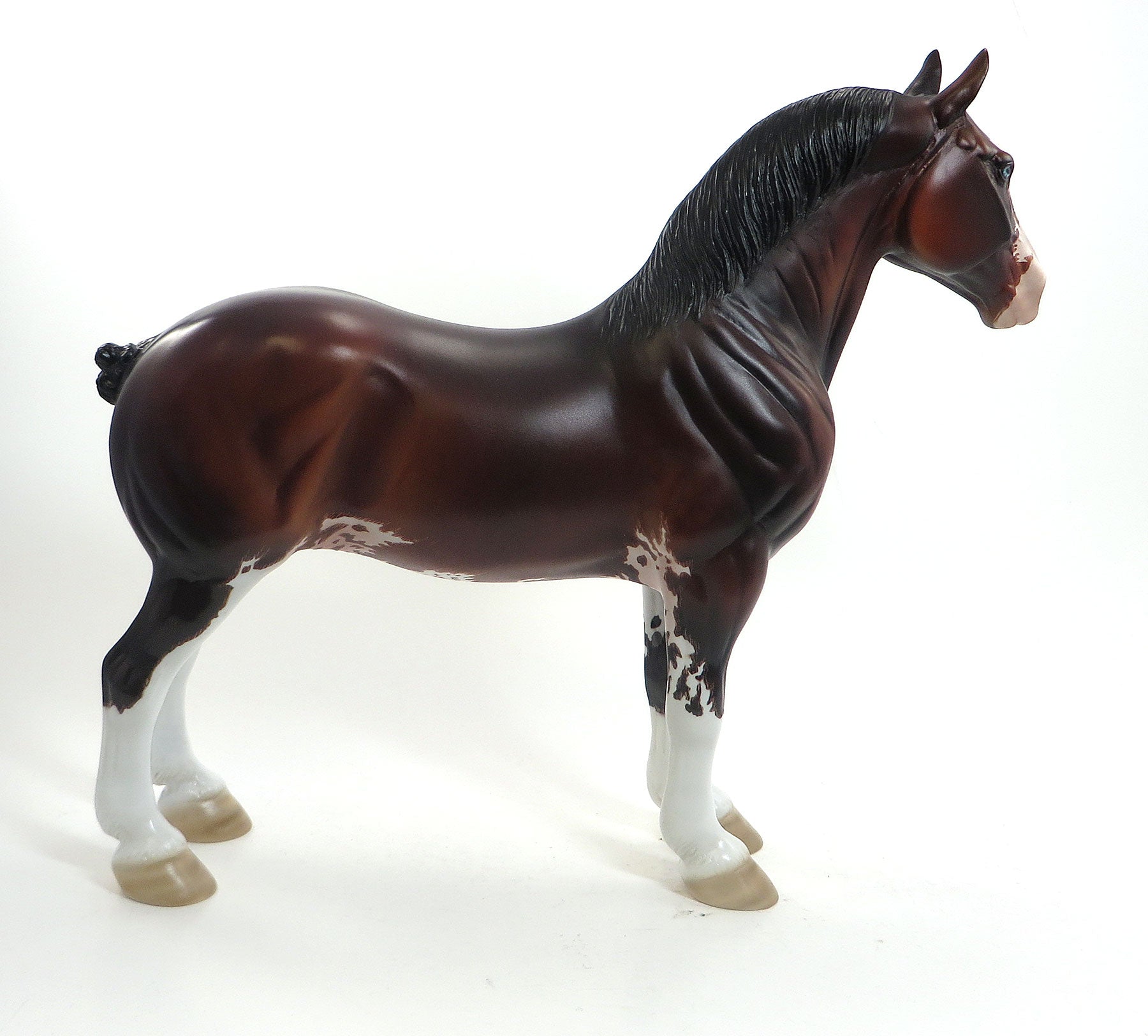 THIRG - OOAK Bay Sabino Standing Drafter W/One Blue Eyes and One Brown Eye 8/14