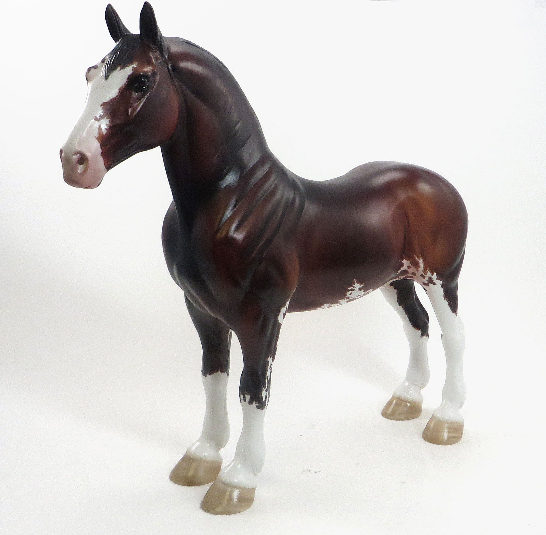 THIRG - OOAK Bay Sabino Standing Drafter W/One Blue Eyes and One Brown Eye 8/14