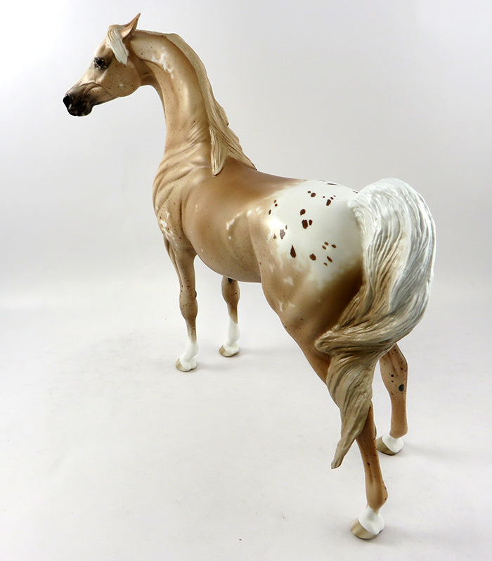 Appaloosa