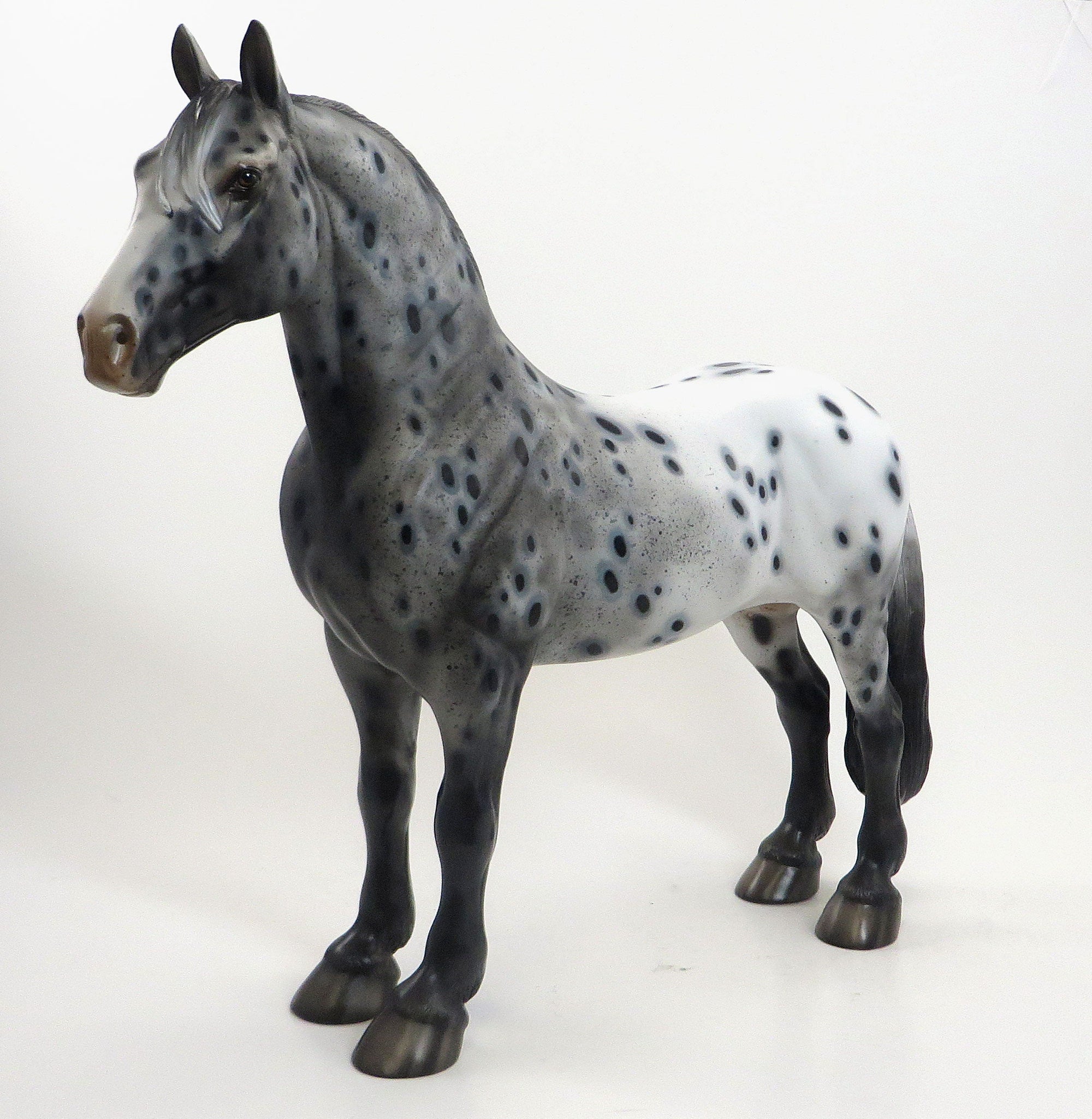 THE COLLECTOR - OOAK Appaloosa Standing Drafter W/Peacock Spots 8/14