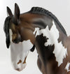 Tobiano