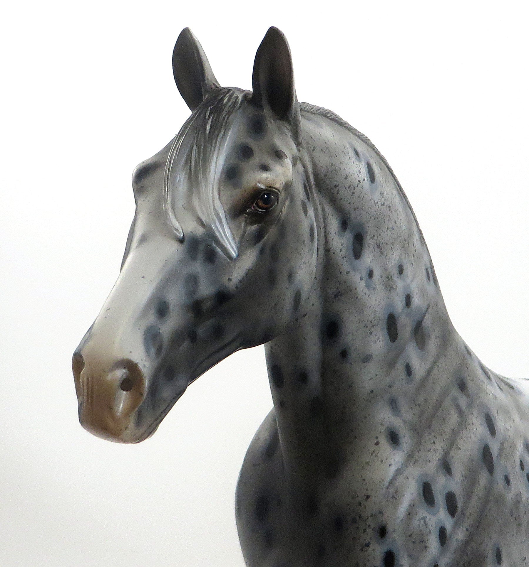 THE COLLECTOR - OOAK Appaloosa Standing Drafter W/Peacock Spots 8/14