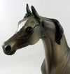 Buckskin