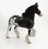 INFANTOR - OOAK Dapple Bay Pinto Trotting Drafter Gelding 8/14