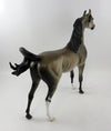 Arabian