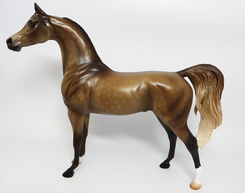 TALIB-OOAK CUSTOMIZED DAPPLED DUN ARABIAN MODEL HORSE 10/06/17