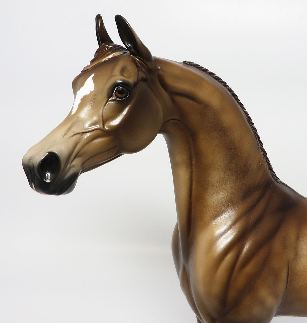 TALIB-OOAK CUSTOMIZED DAPPLED DUN ARABIAN MODEL HORSE 10/06/17