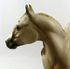 stock horse