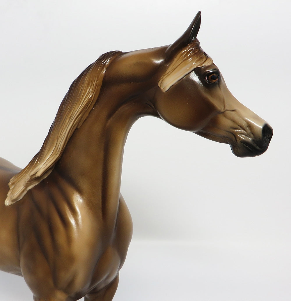 TALIB-OOAK CUSTOMIZED DAPPLED DUN ARABIAN MODEL HORSE 10/06/17