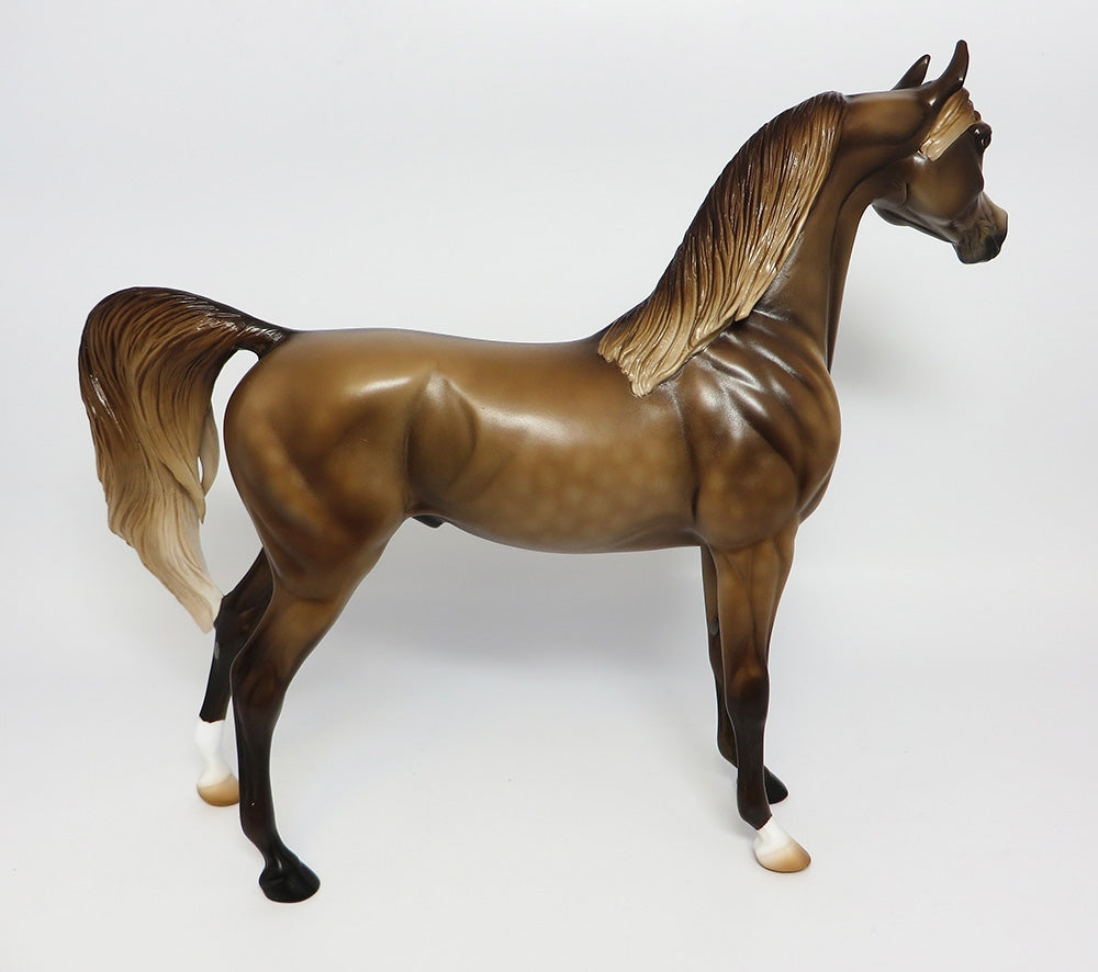 TALIB-OOAK CUSTOMIZED DAPPLED DUN ARABIAN MODEL HORSE 10/06/17