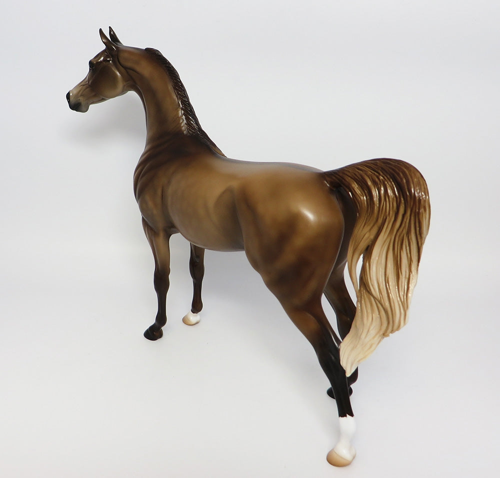 TALIB-OOAK CUSTOMIZED DAPPLED DUN ARABIAN MODEL HORSE 10/06/17