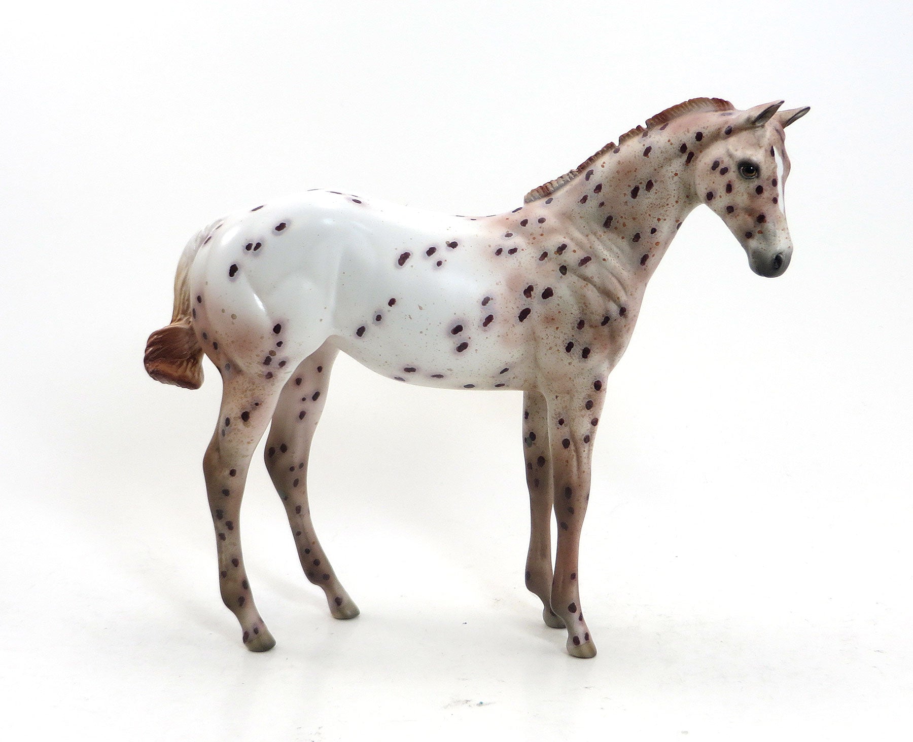 FLAME PRINCESS - OOAK Chestnut Appaloosa Weanling 8/14