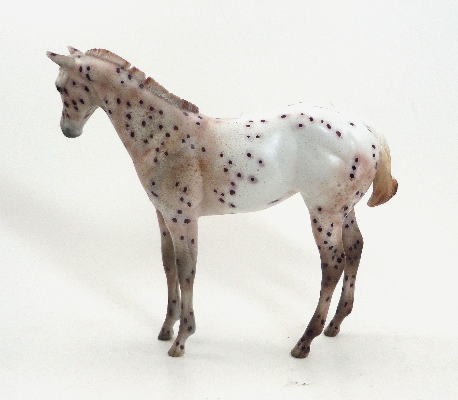 FLAME PRINCESS - OOAK Chestnut Appaloosa Weanling 8/14
