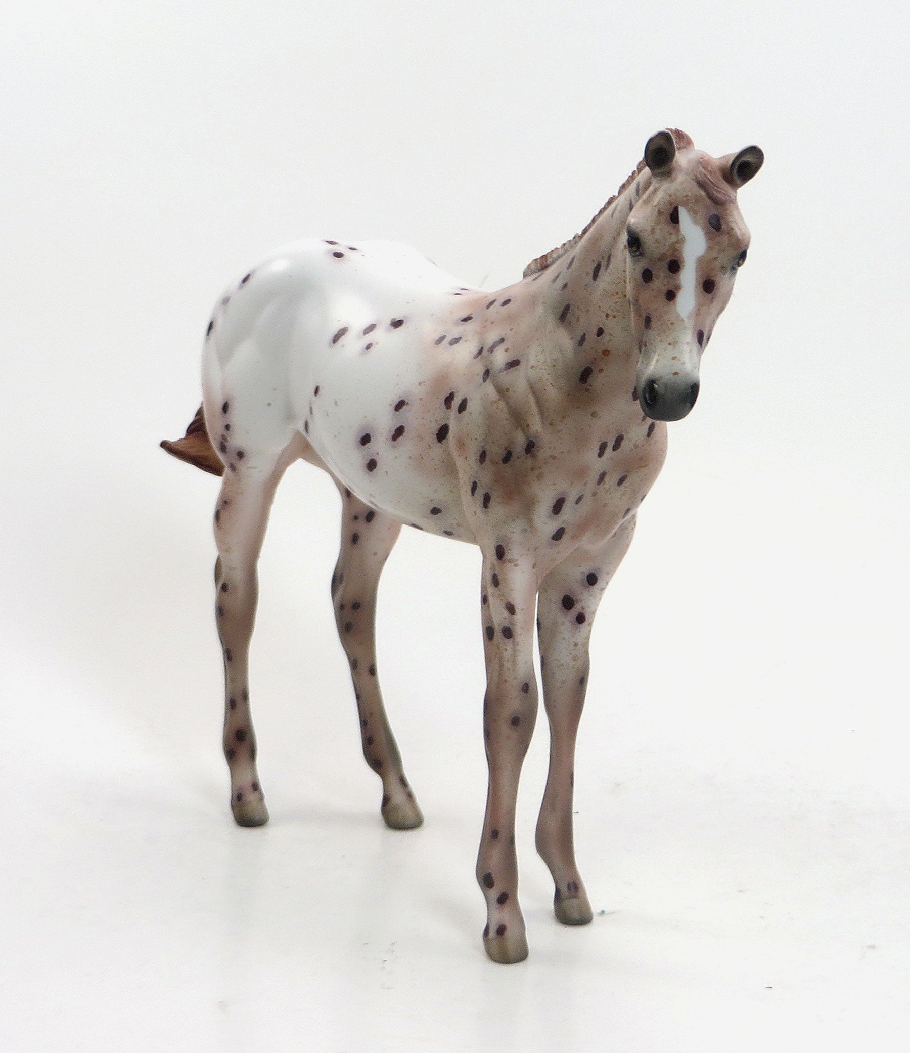FLAME PRINCESS - OOAK Chestnut Appaloosa Weanling 8/14